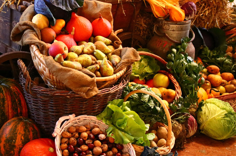 Saisonales Obst und Gemüse aus dem Herbst, Imagebild für Kulinarik des Herbstes