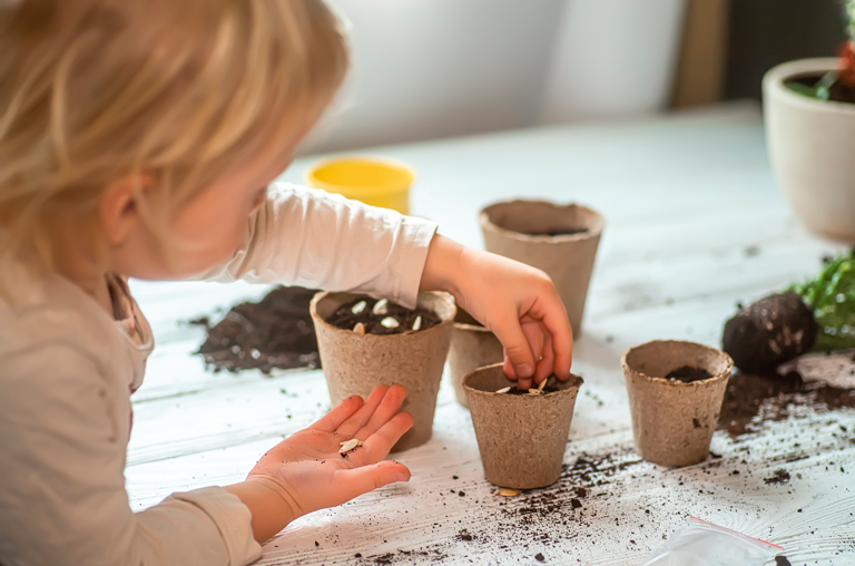 Kind zieht Pflanzen in Pappbechern an
