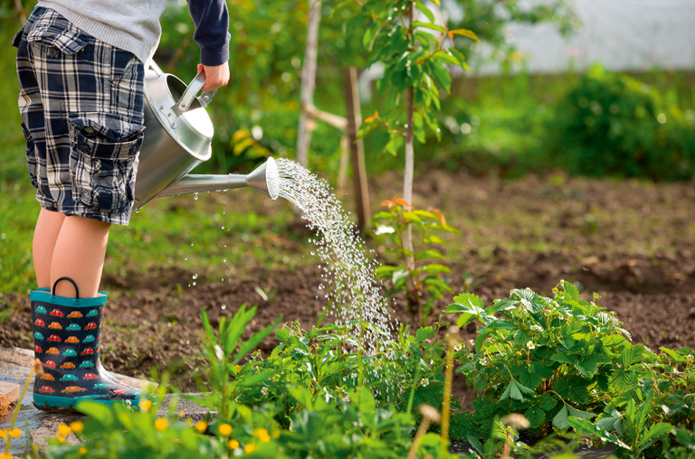 Kind gießt im Garten