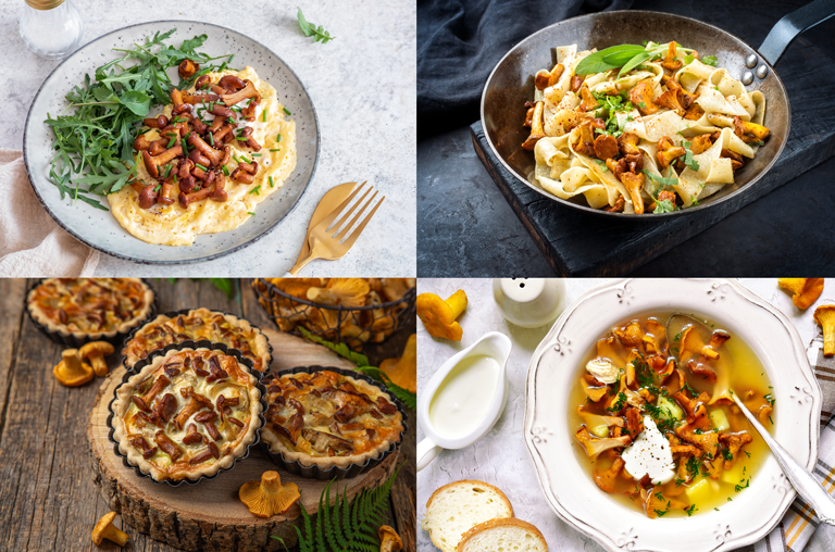 Aus Pfifferlingen lässt sich viel machen - Rezeptbildcollage