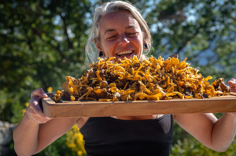 Frau mit einem Brett voll von Pfifferlingen