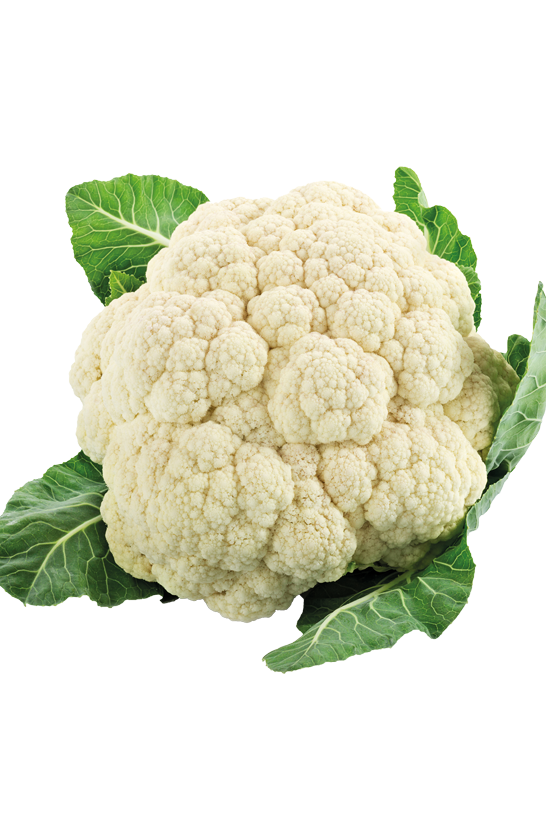 Blumenkohl