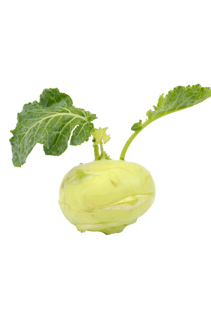 Kohlrabi