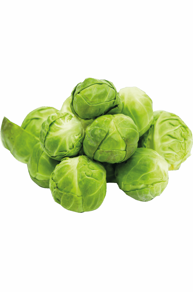 Rosenkohl
