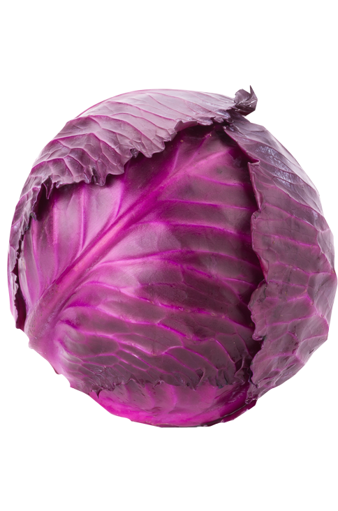 Rotkohl