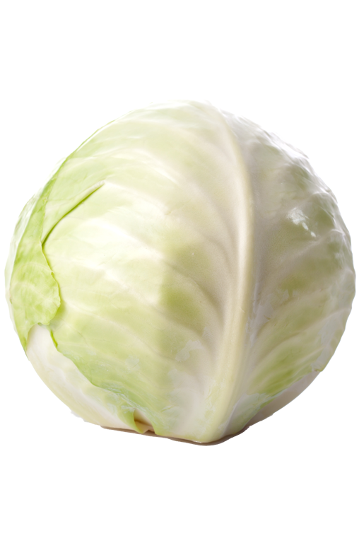 Weißkohl