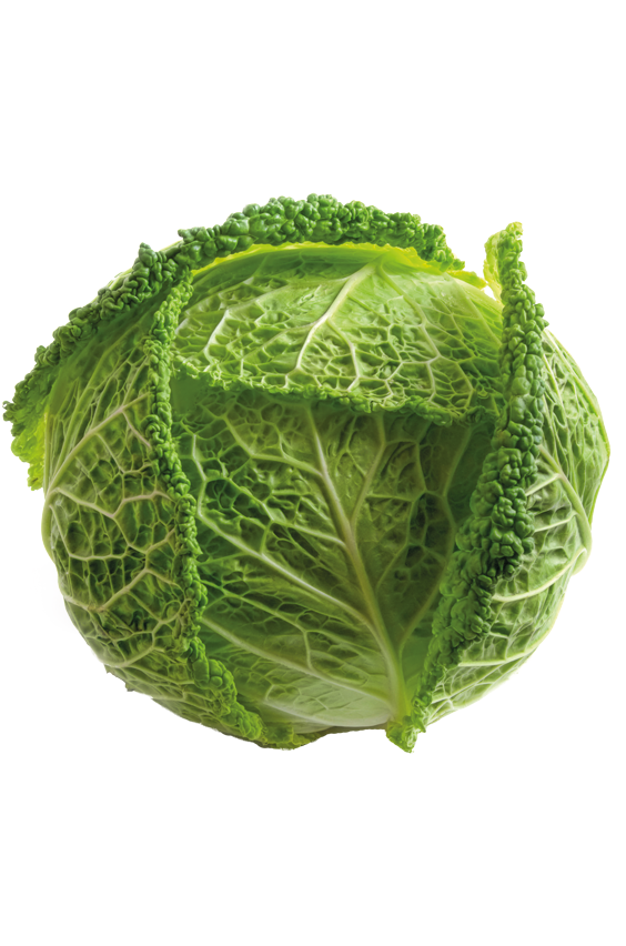 Wirsing Kohl