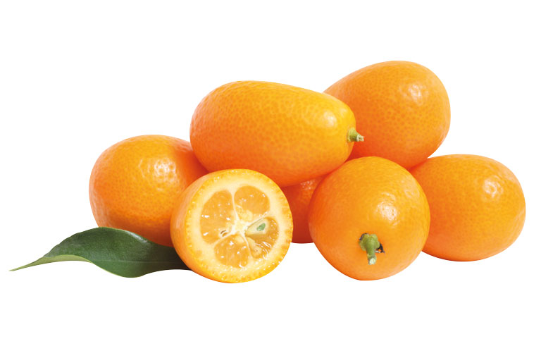 Zitrusfrucht Kumquat frei