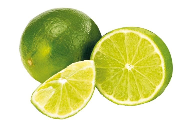 Zitrusfrucht Limette frei