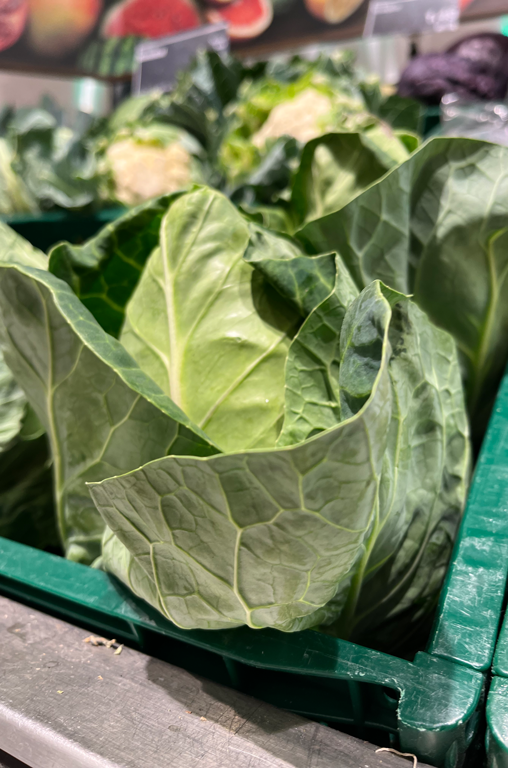 Kohlvielfalt Spitzkohl EDEKA Bandelt