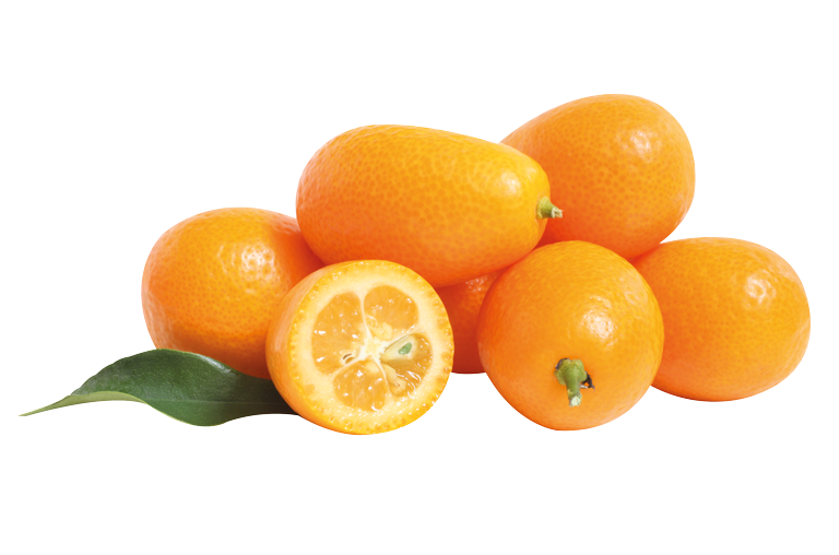 Kumquat Exot