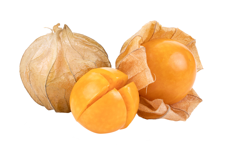 Physalis Exot