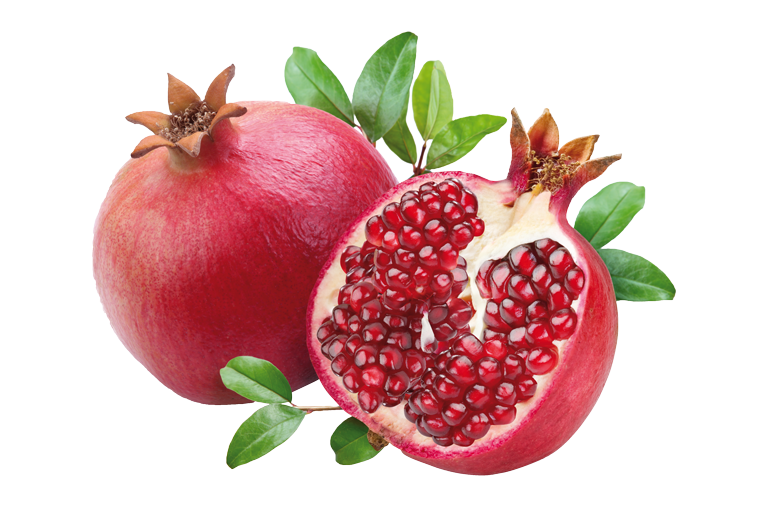 Granatapfel Exot