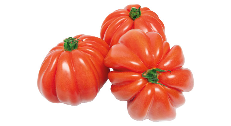 Tomaten