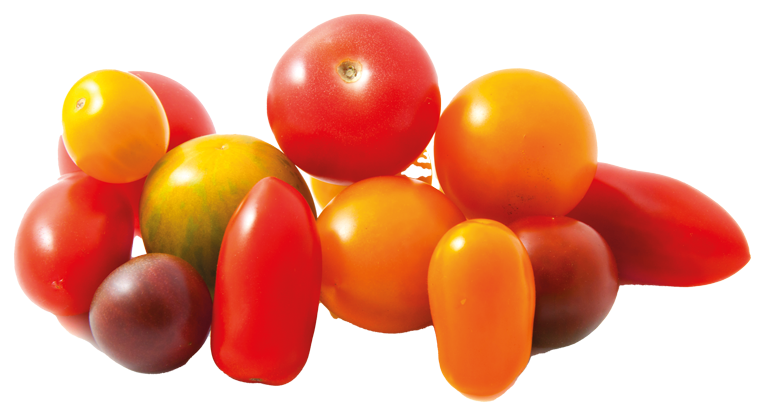 Tomaten