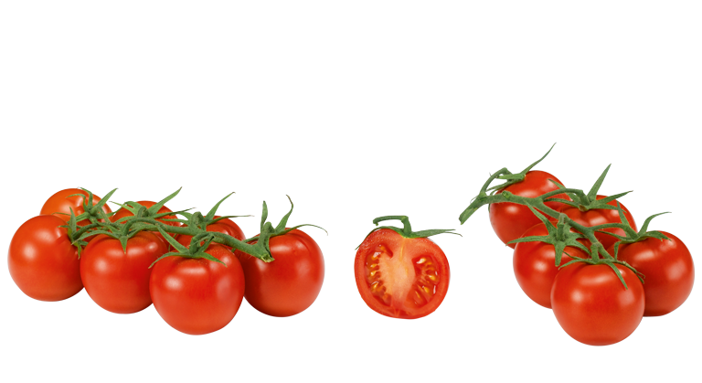 Tomaten
